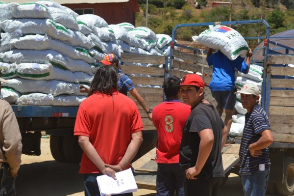 1471 sacos de pelet de alfalfa fueron entregados