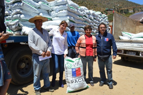 172 campesinos de Olmué recibieron pelet para sus animales