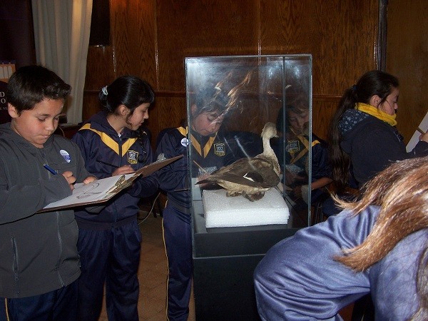 Actividad del Festival de Aves 3