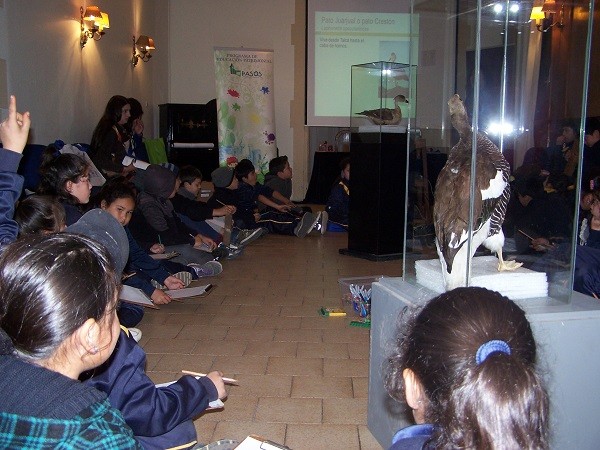 Actividad del Festival de Aves 5