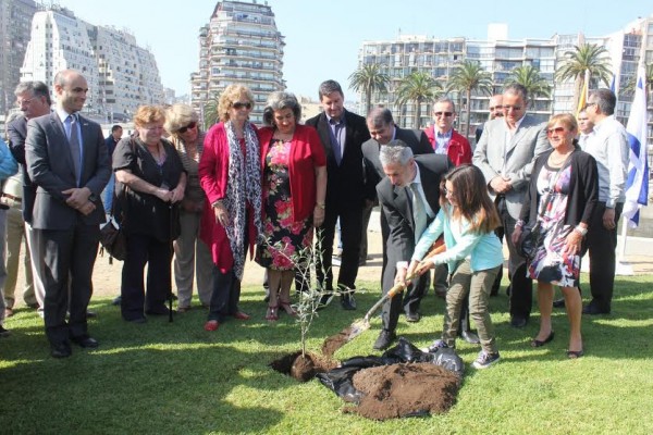 Alcaldesa Virginia Reginato, plantación olivos, 2