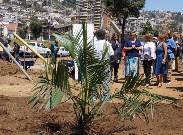 Alcaldesa Virginia Reginato. area verde 4