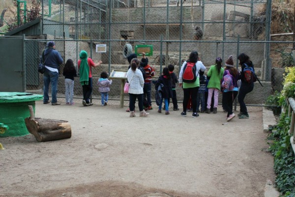 Los niños pudieron conocer las diversas especies de animales