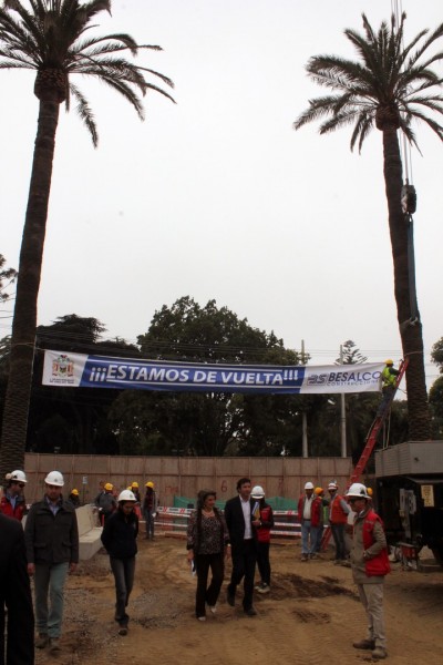 Alcaldesa Virginia Reginato, reinstalacion palmeras 4