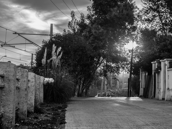 Gustavo Escalante EJ