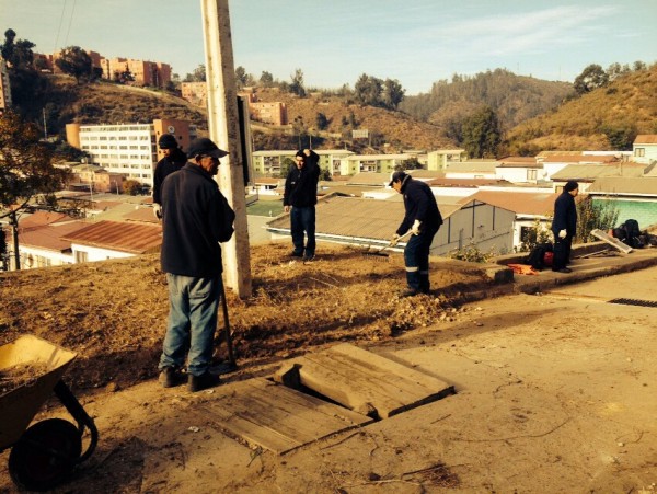 Municipalidad de Viña del Mar, trabajos Limonares 4