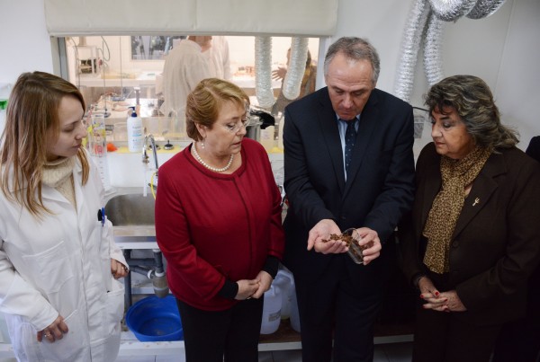 Alcaldesa Virginia Reginato, centro de innovacion avanzada 4