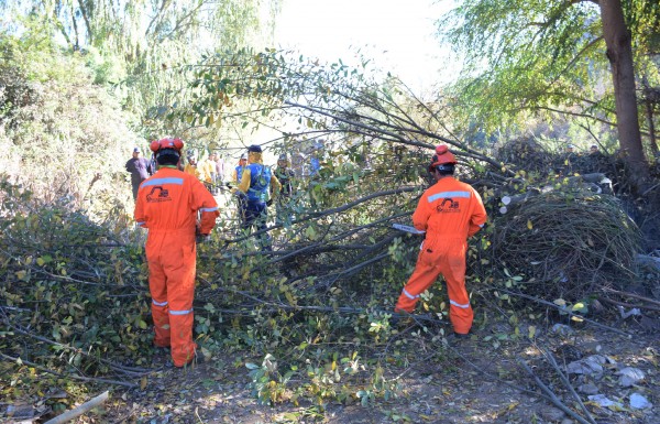 Municipalidad de Viña del Mar, limpieza estero 1