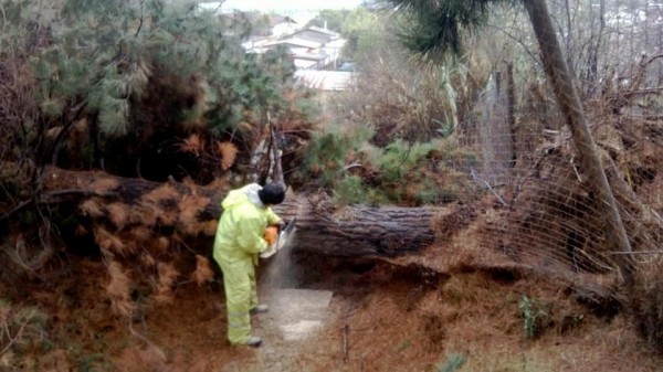 11836725_10205853682754628_283839860430154742_n (1)