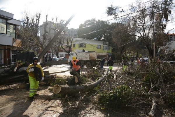 Municipio viñamarino, alerta temporal 8 agosto, 2