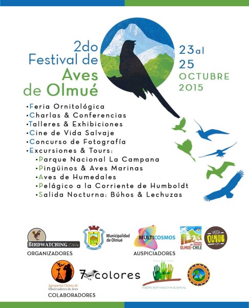 AFICHE II FESTIVAL DE AVES
