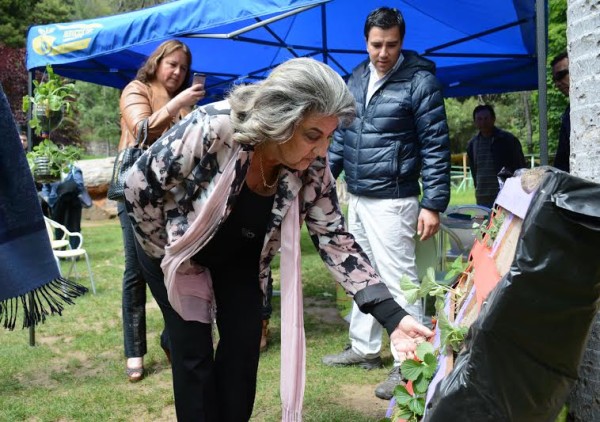 Alcaldesa Virginia Reginato, lanzamiento feria 1ª Viña Sustentable, 2