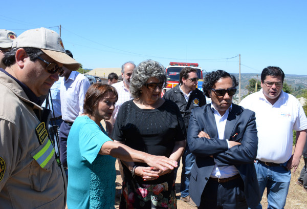 Alcaldesa Virginia Reginato, campaña prevencion incendios 2