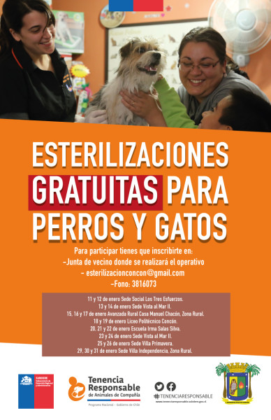 web-operativo-gobierno