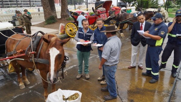 Municipalidad de Viña del Mar - Fiscalización Victorias_01
