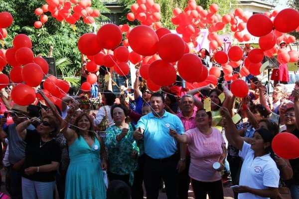 Mil Deseos al Viento se llamó la actividad realizada en Olmué