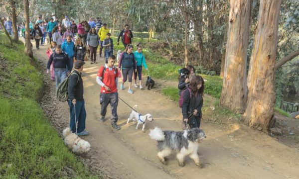 Caminata Canina 3