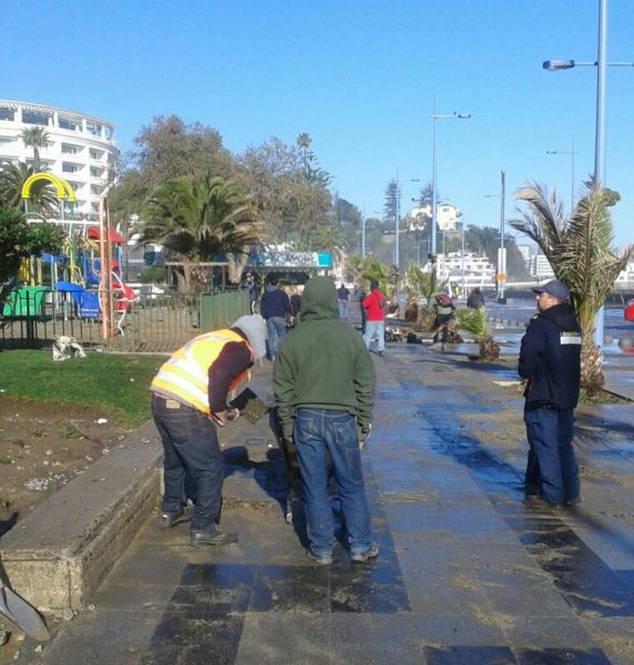 Municipalidad de Viña del Mar, limpieza daños 5