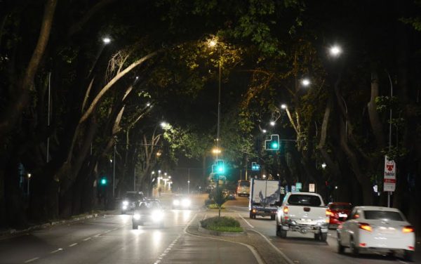 alcaldesa-virginia-reginato-luminarias-pob-vergara