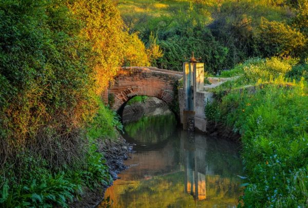 ganador-jan-puerta-2016