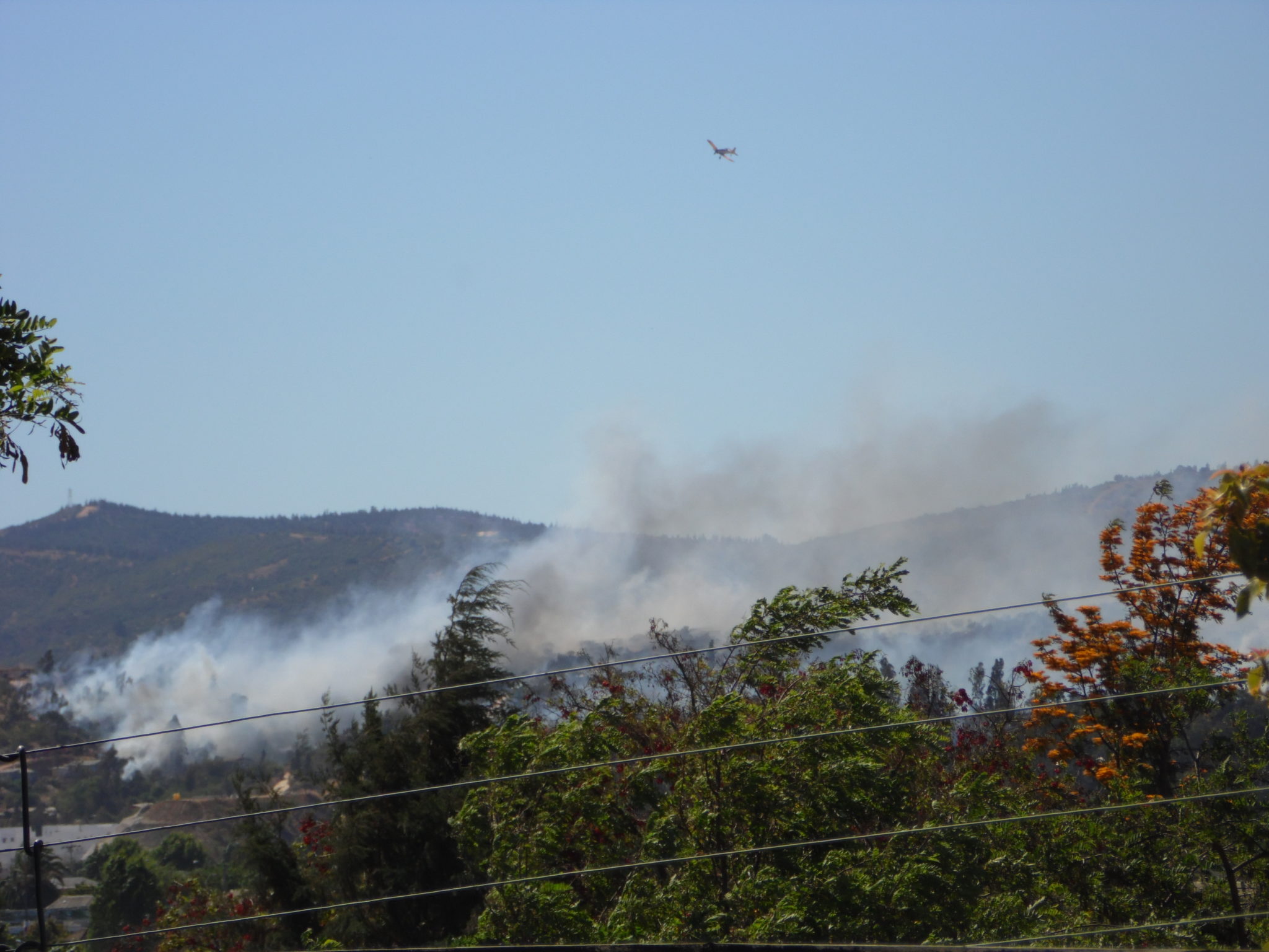 Varios incendios forestales simultáneos mantienen movilizado al personal de Bomberos y la Conaf en la Región de Valparaíso.