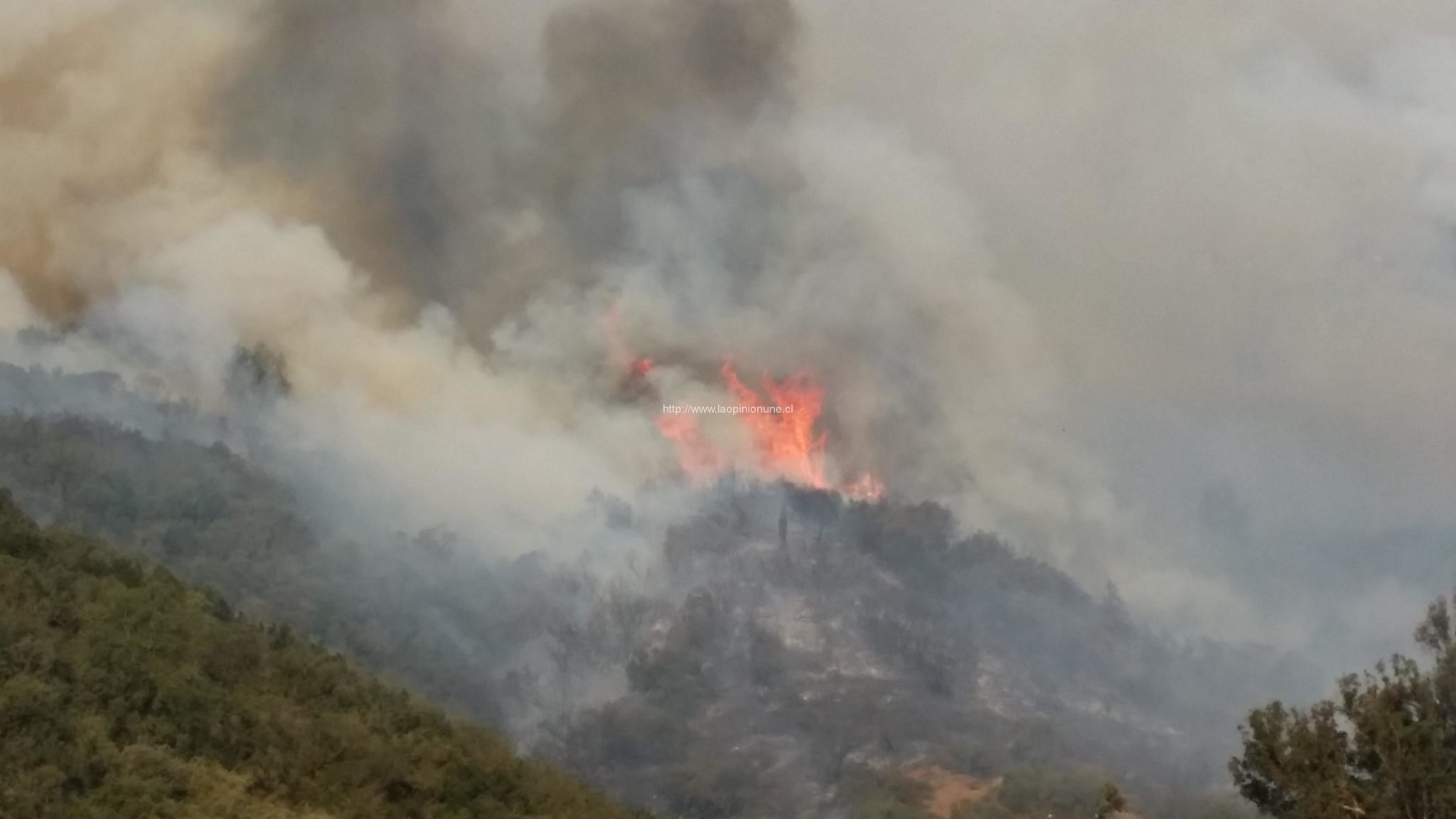 Quebrada Escobares – Nuevo Incendio Forestal