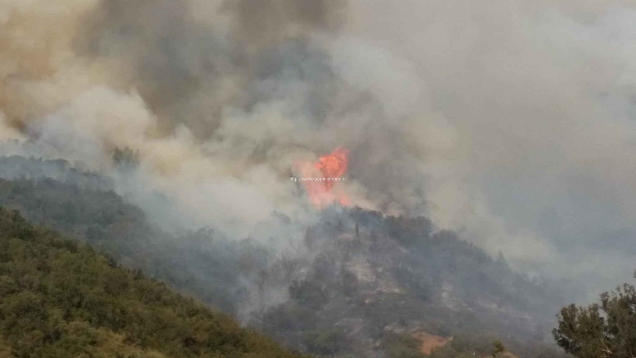 Quebrada Escobares – Nuevo Incendio Forestal