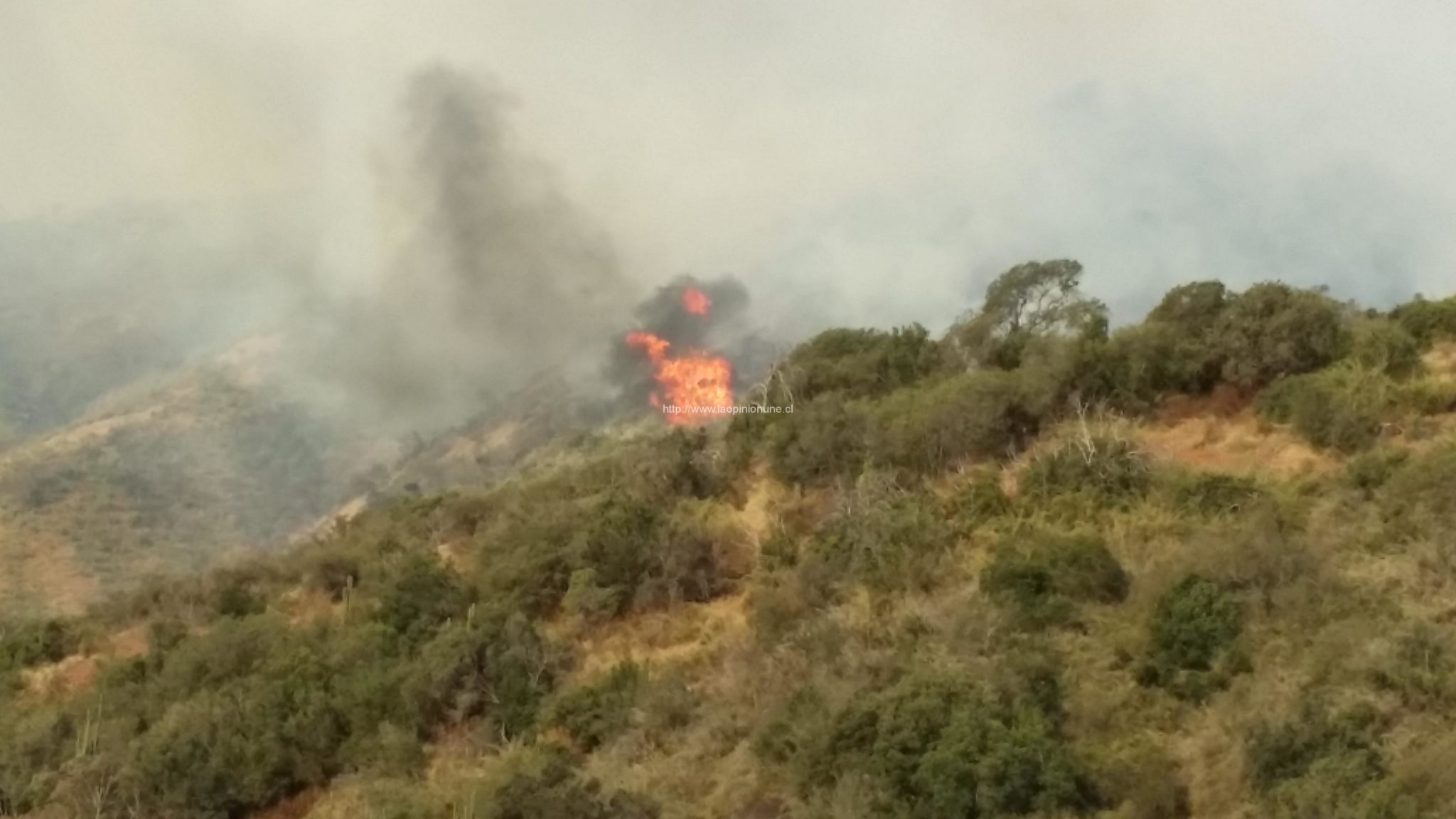 Quebrada Escobares – Nuevo Incendio Forestal