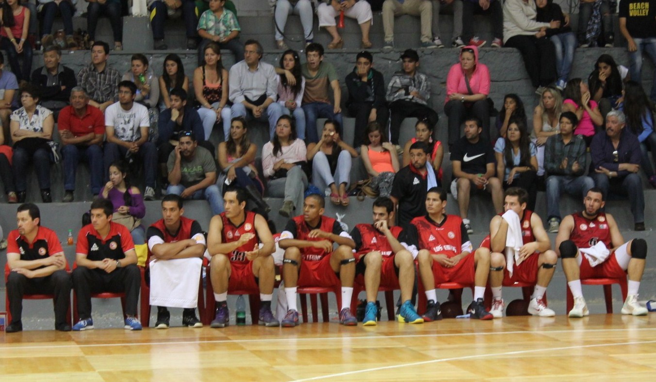 LOS LEONES QUILPUEINOS QUIEREN RUGIR EN EL SUR