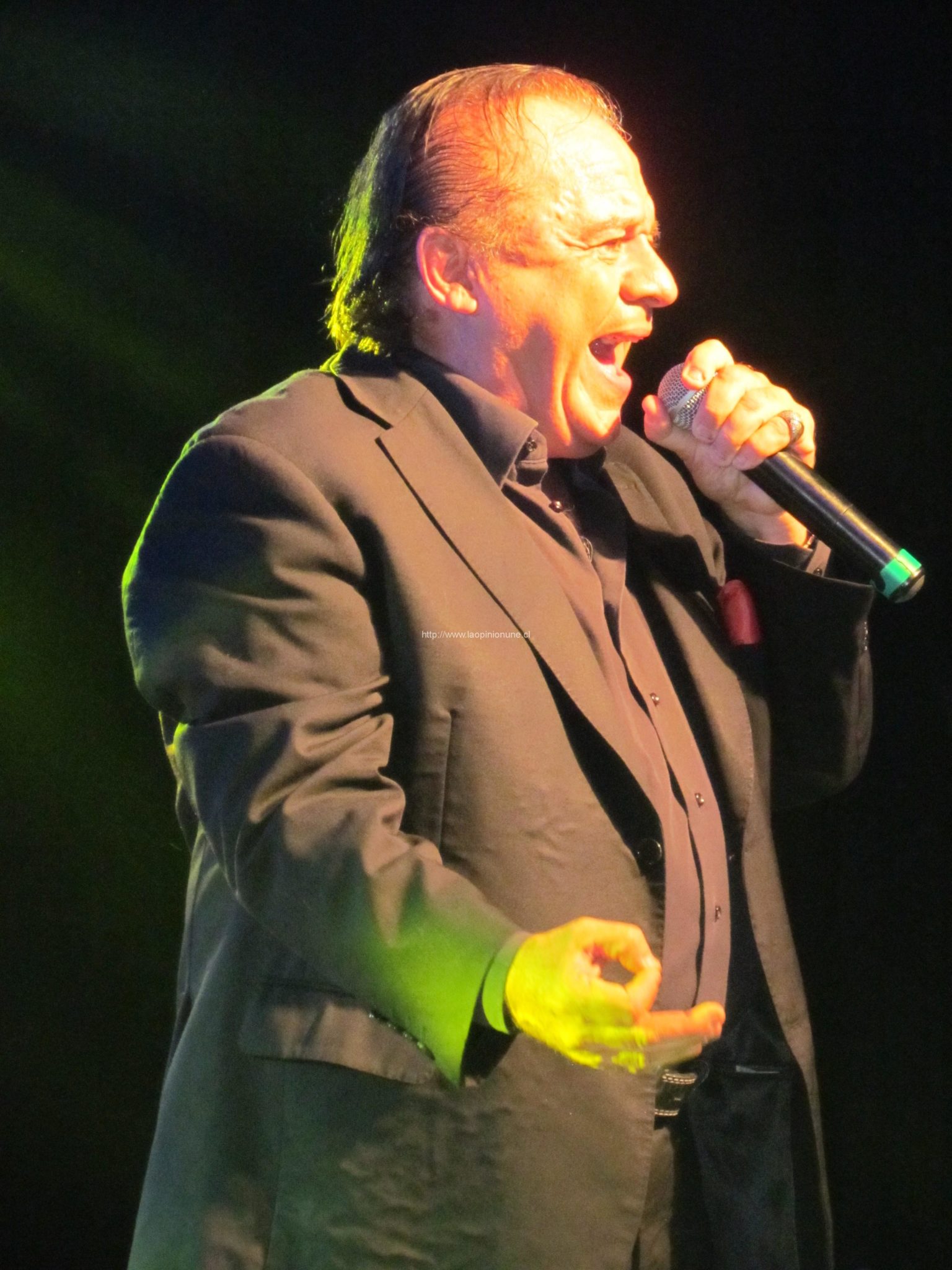 Con la espectacular presentación de Luis Dimas finaliza el IV Festival de la Nueva Ola 2014