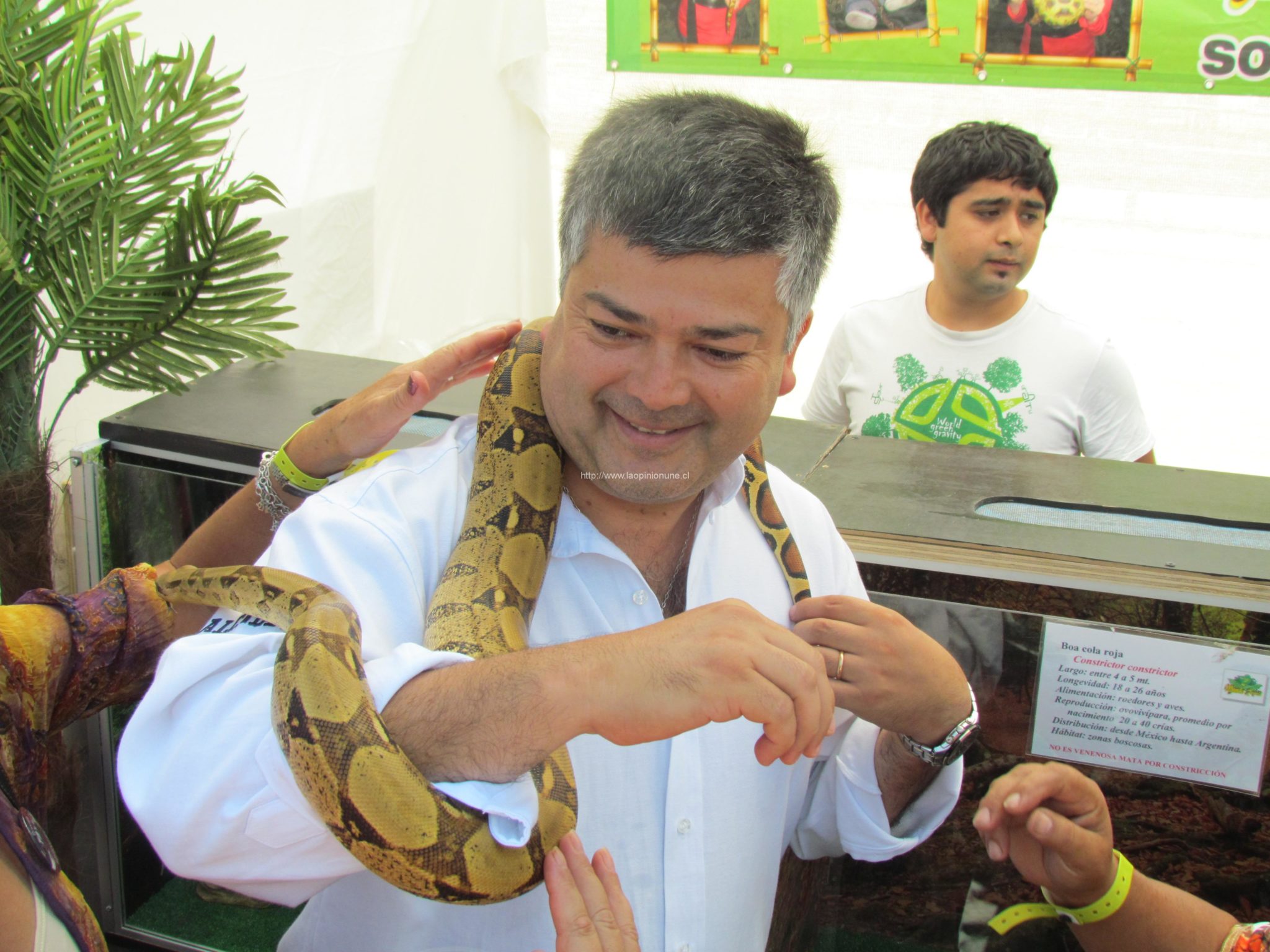 Inauguración del 2° Festival de la Cerveza en Limache