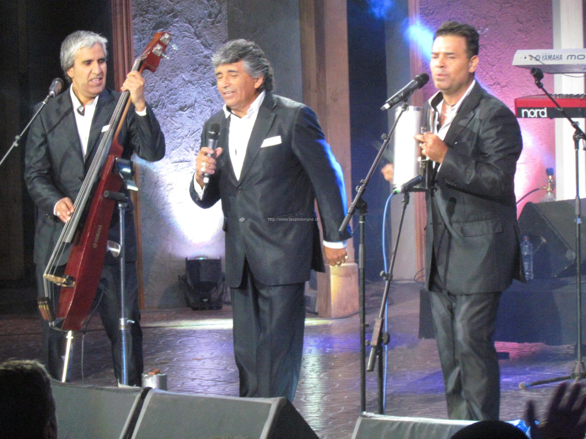 La Fiesta no para en Olmué con los Vikings 5