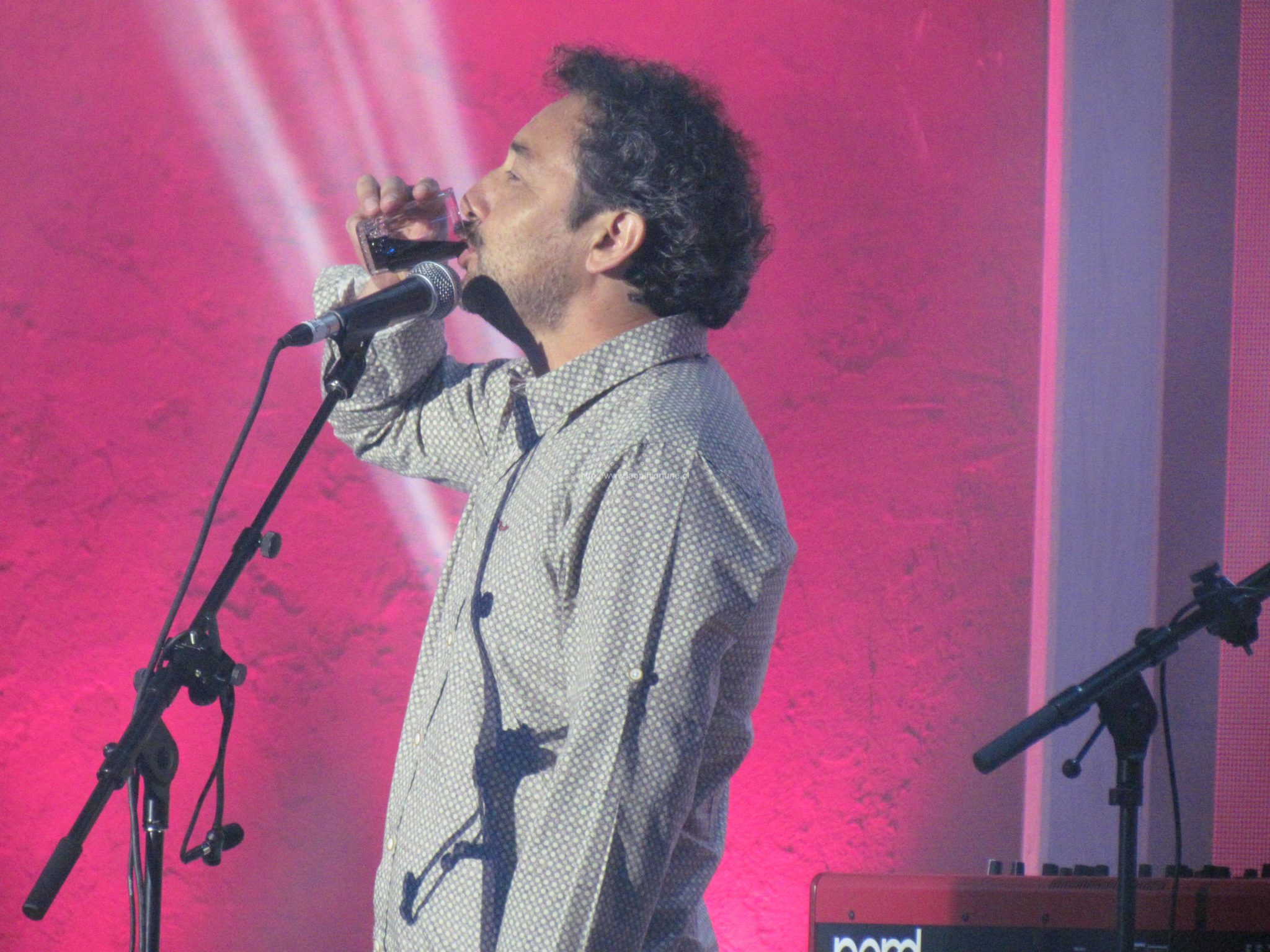 Comienza la noche final en Olmué 2014