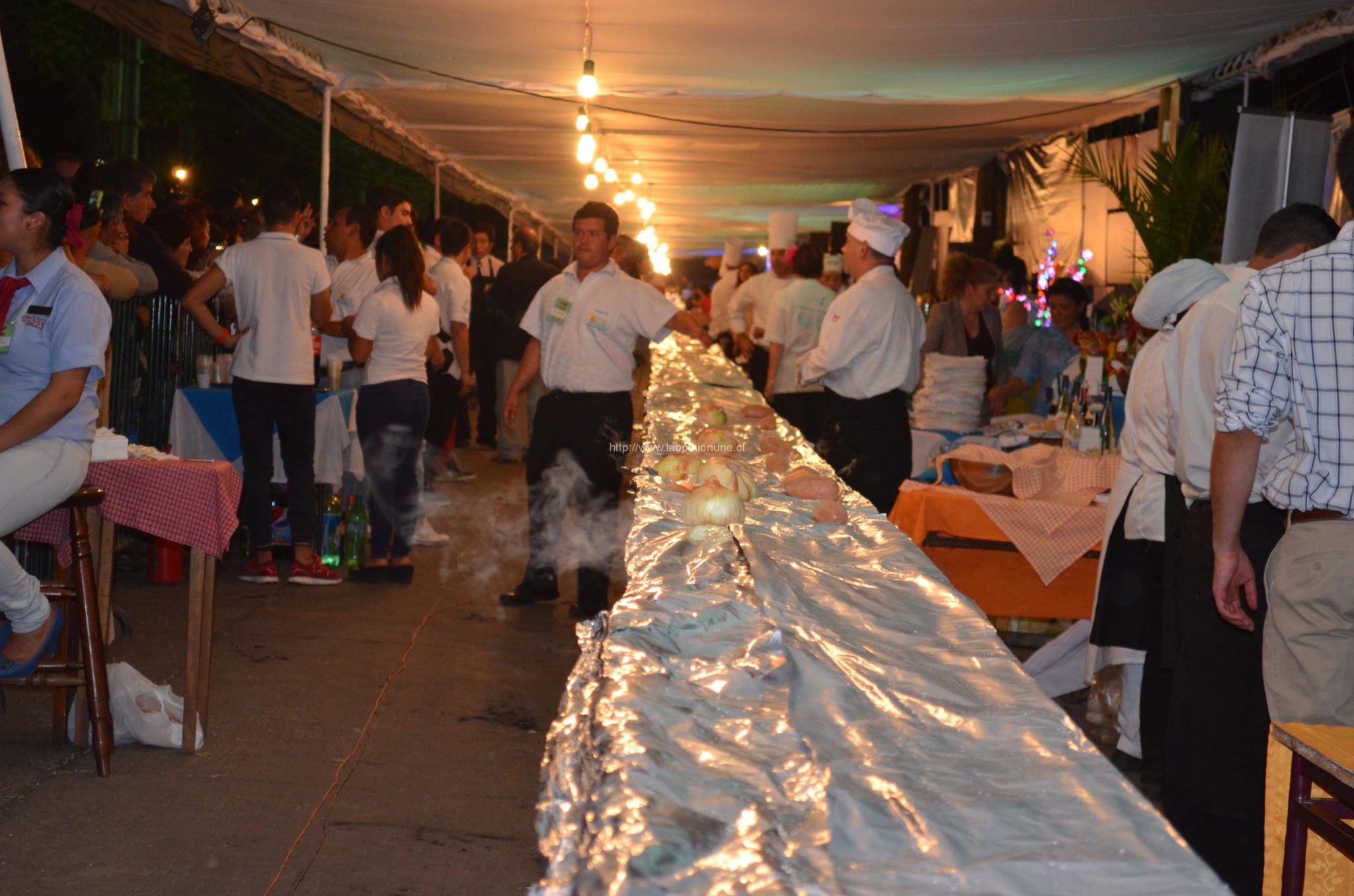 Superada la Meta de La Corvina Más larga del Mundo 2014