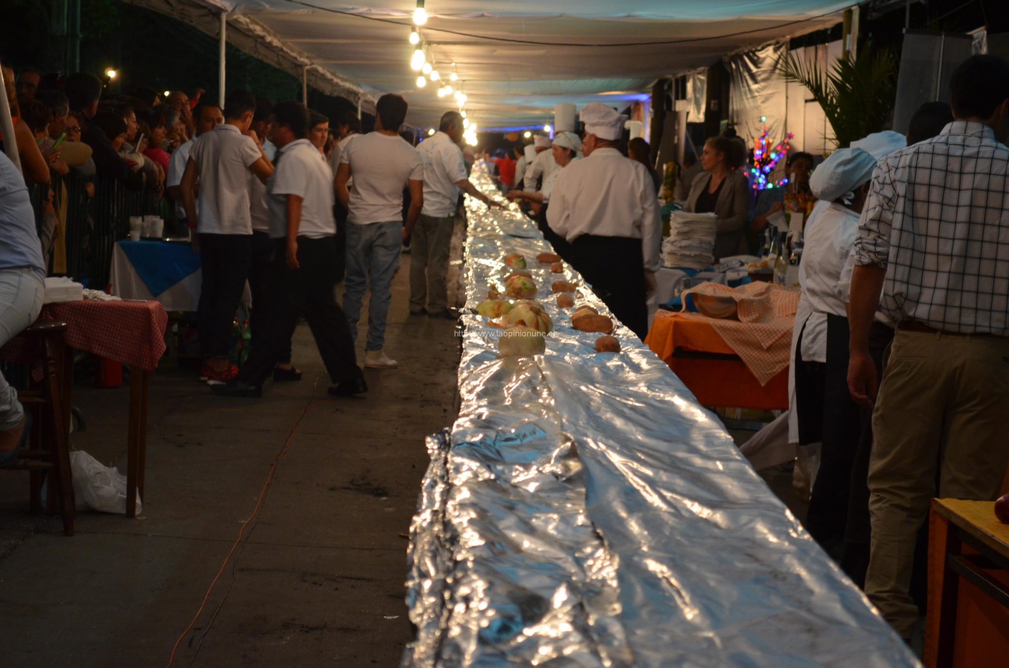 Superada la Meta de La Corvina Más larga del Mundo 2014