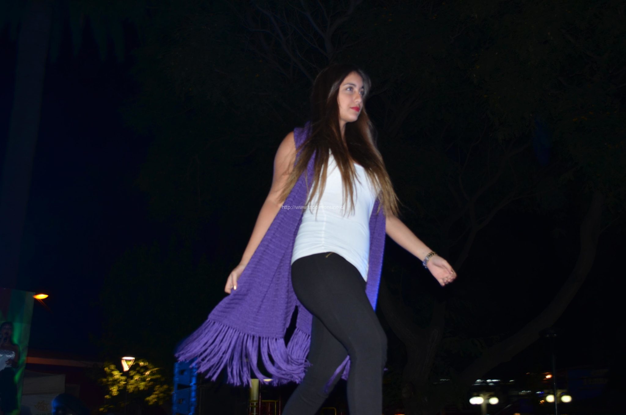 Espectacular desfile “Quilpué Diseño 2014”