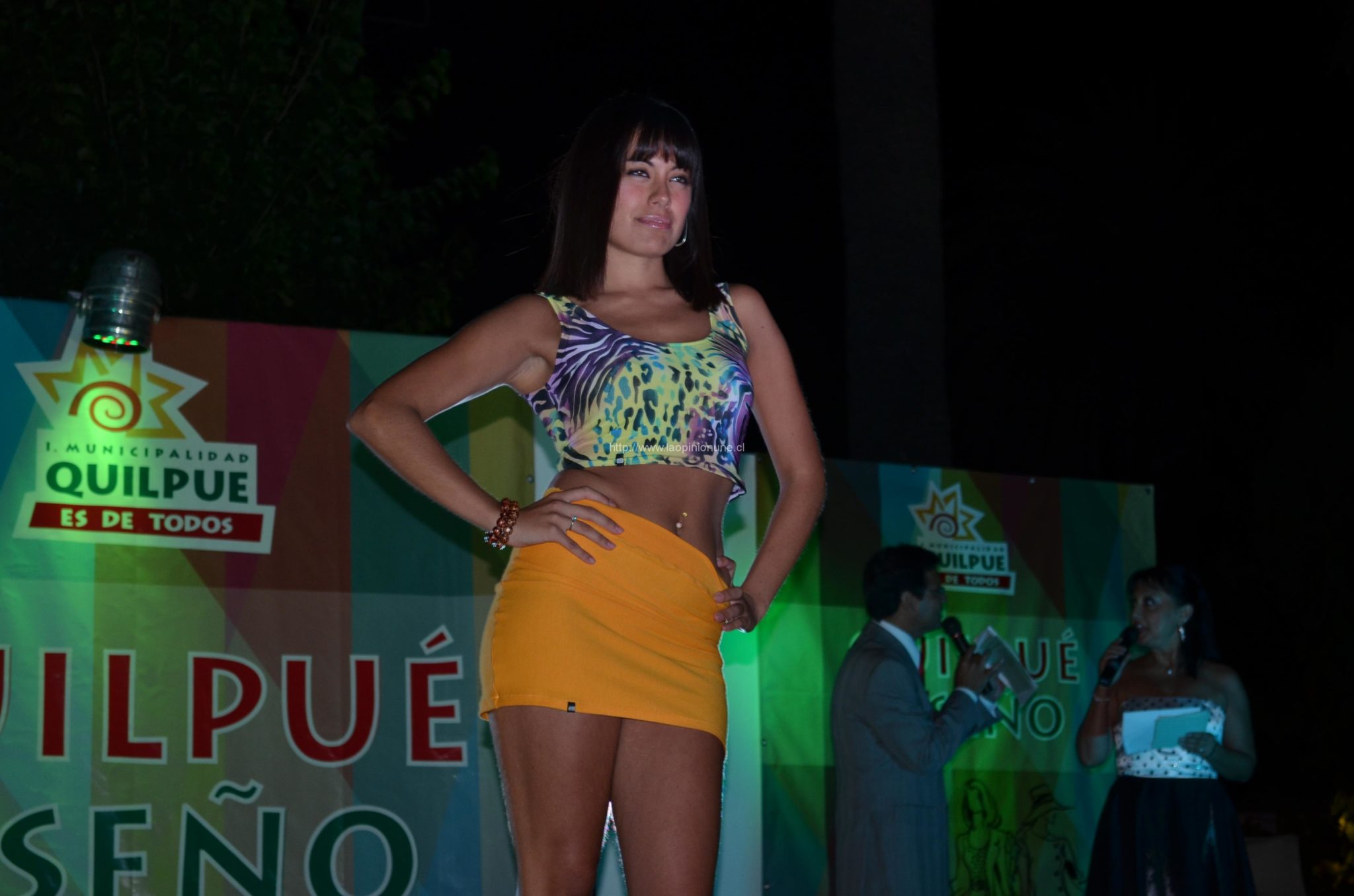 Espectacular desfile “Quilpué Diseño 2014”