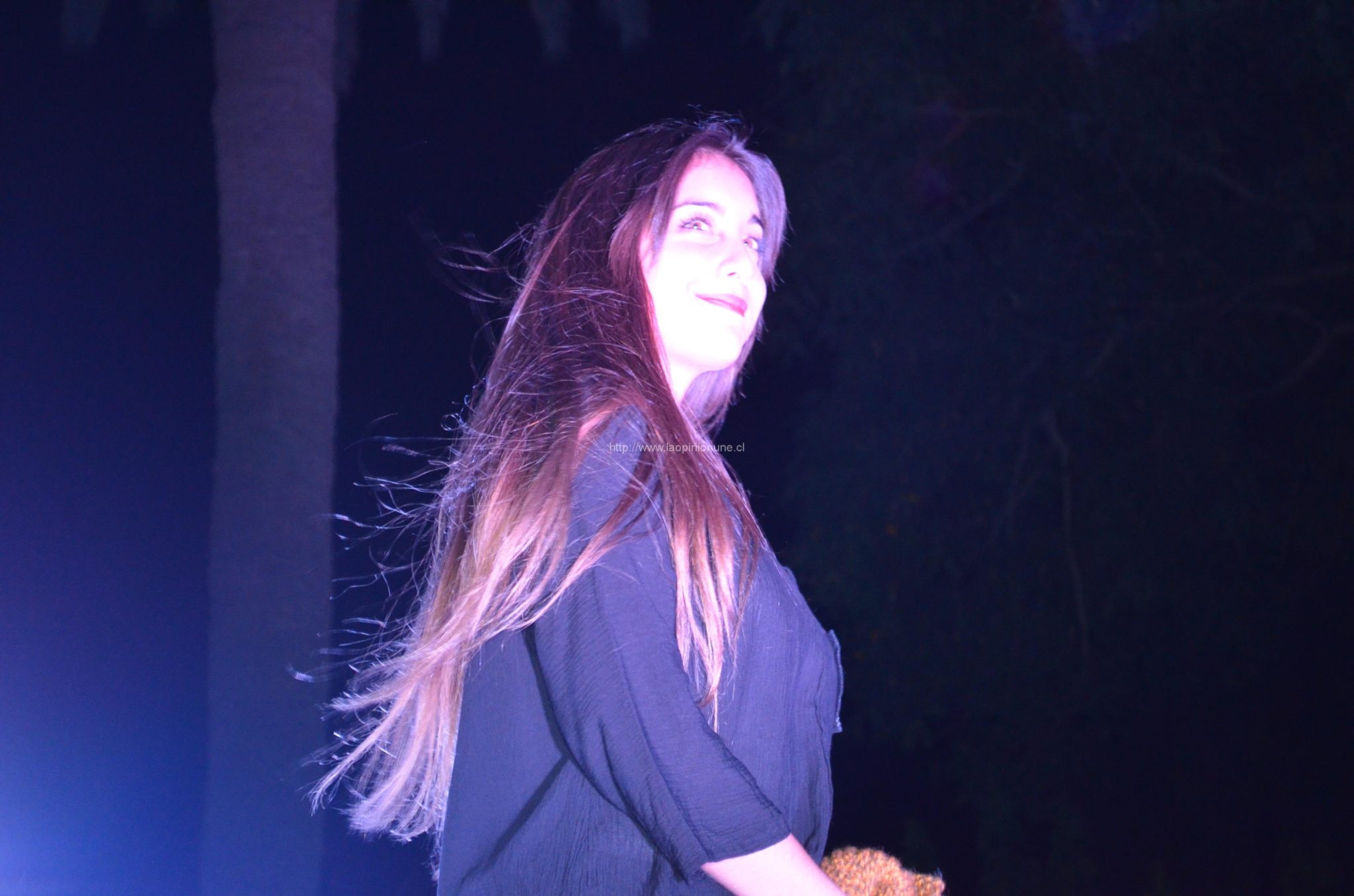 Espectacular desfile “Quilpué Diseño 2014”