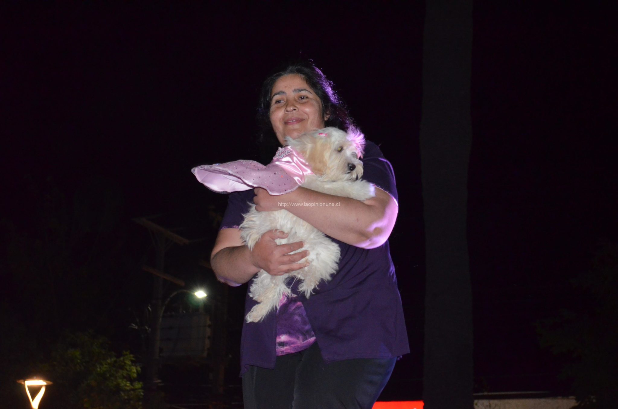 Espectacular desfile “Quilpué Diseño 2014”