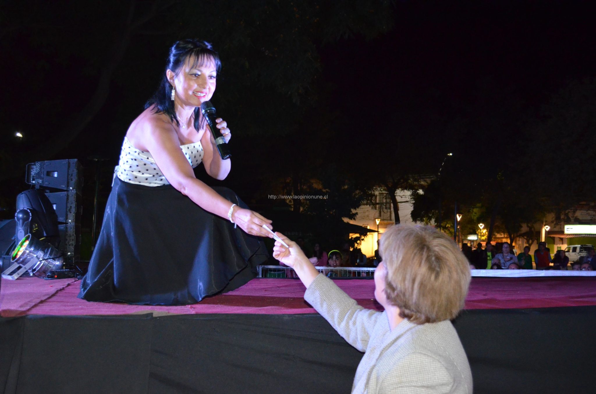 Espectacular desfile “Quilpué Diseño 2014”