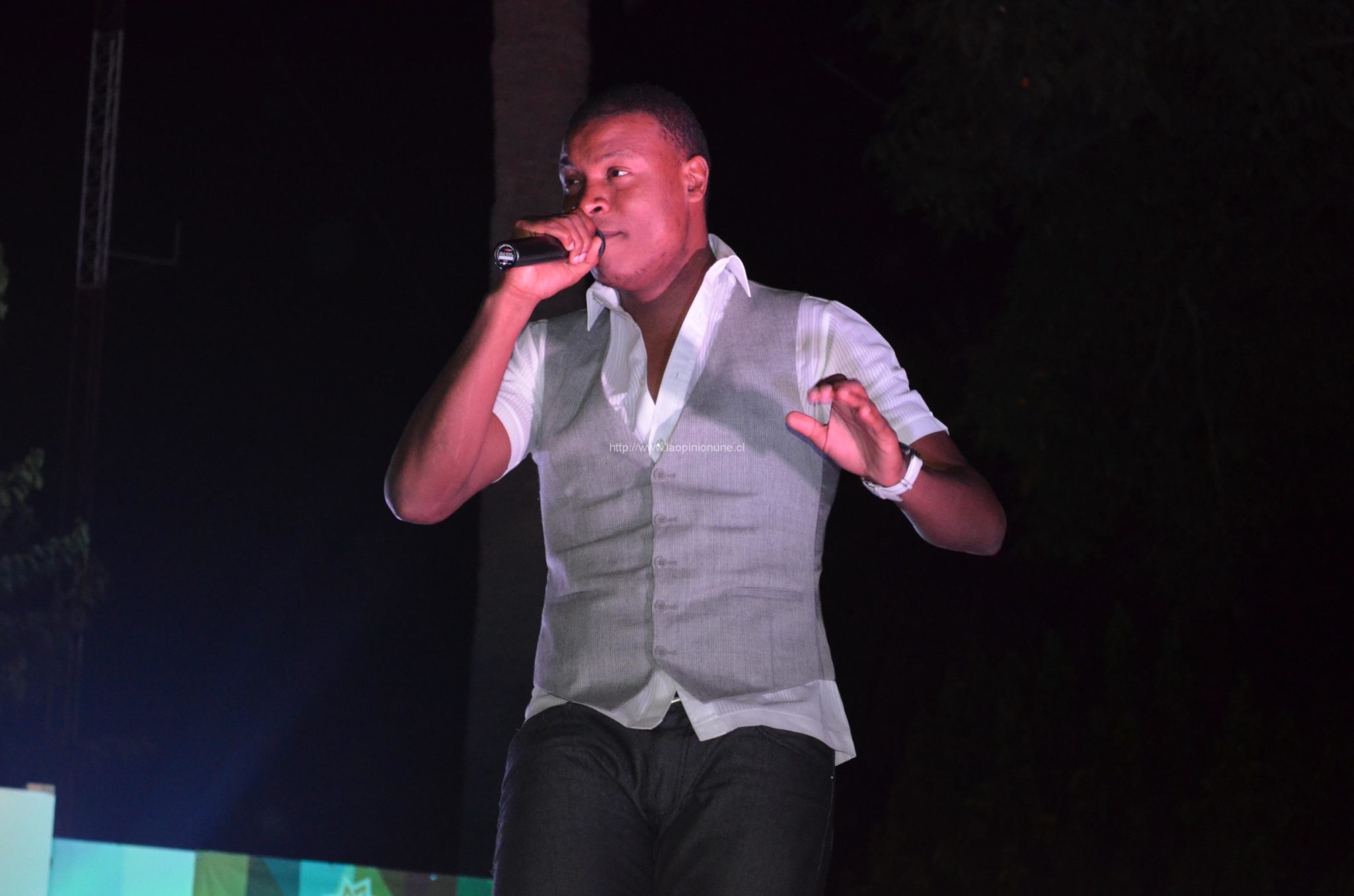 Espectacular desfile “Quilpué Diseño 2014”