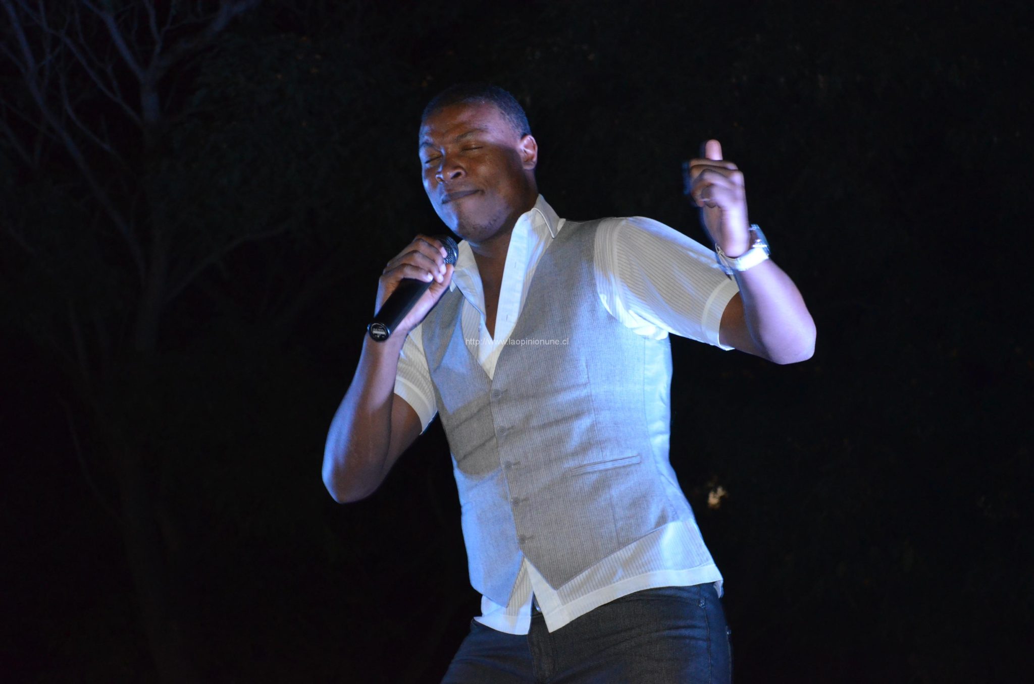 Espectacular desfile “Quilpué Diseño 2014”