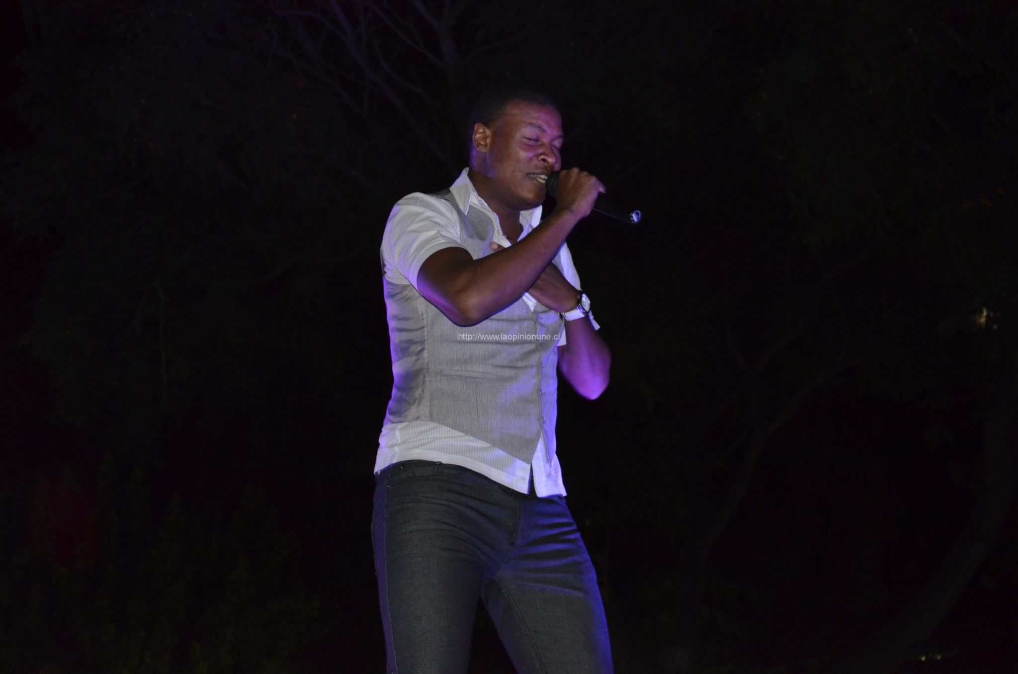 Espectacular desfile “Quilpué Diseño 2014”