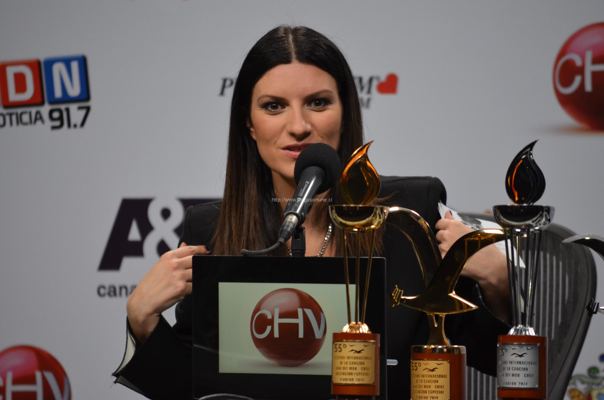 Gran Segunda jornada en Viña 2014