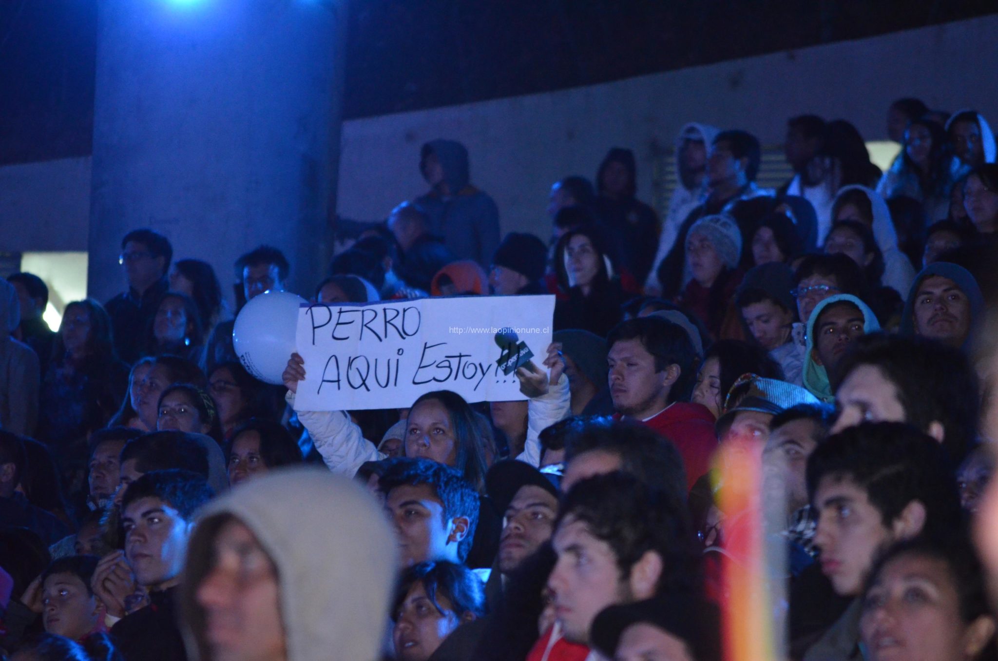 Gran Segunda jornada en Viña 2014