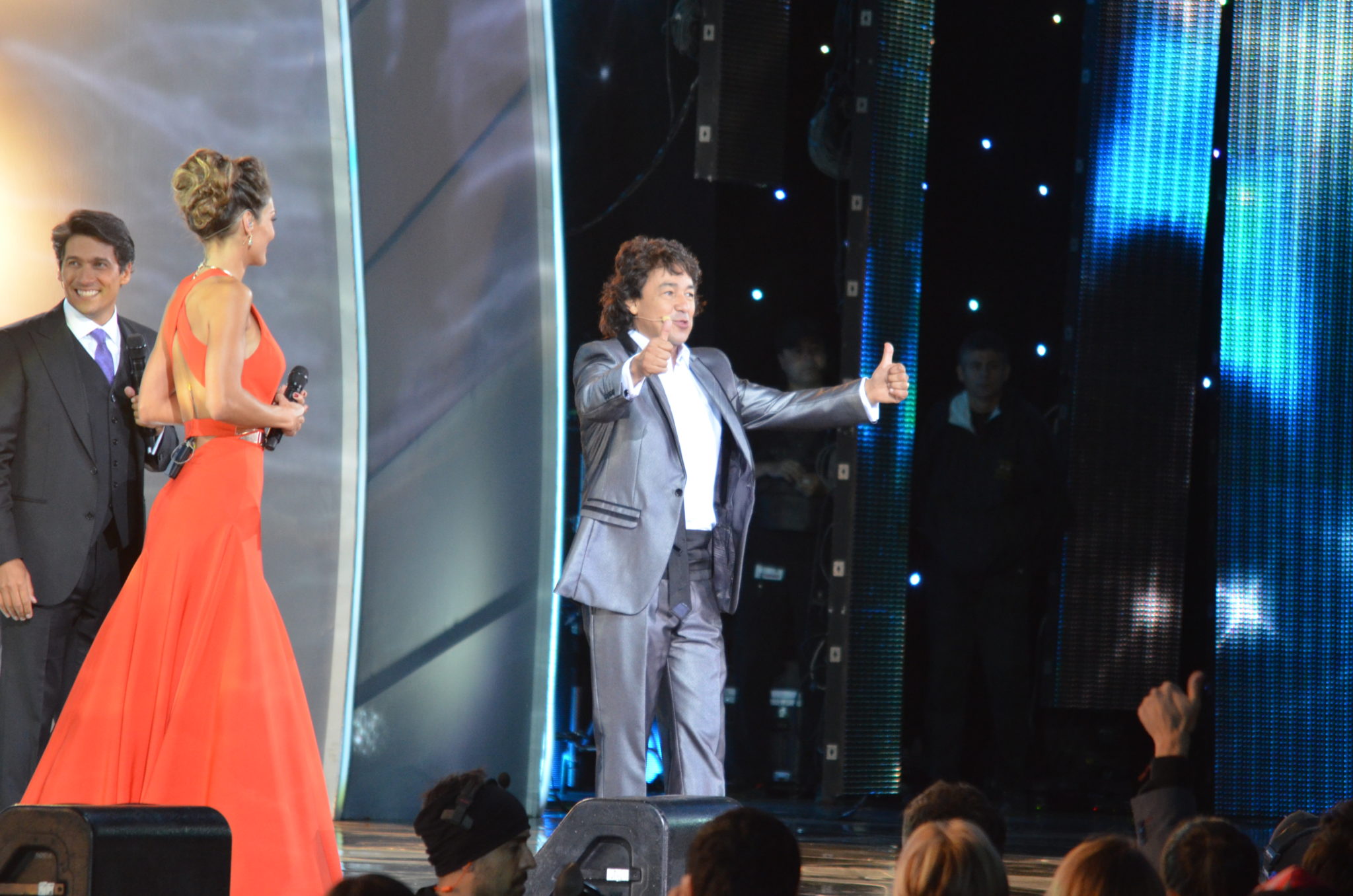 La Quinta Jornada de Viña 2014, fue una noche “redonda”