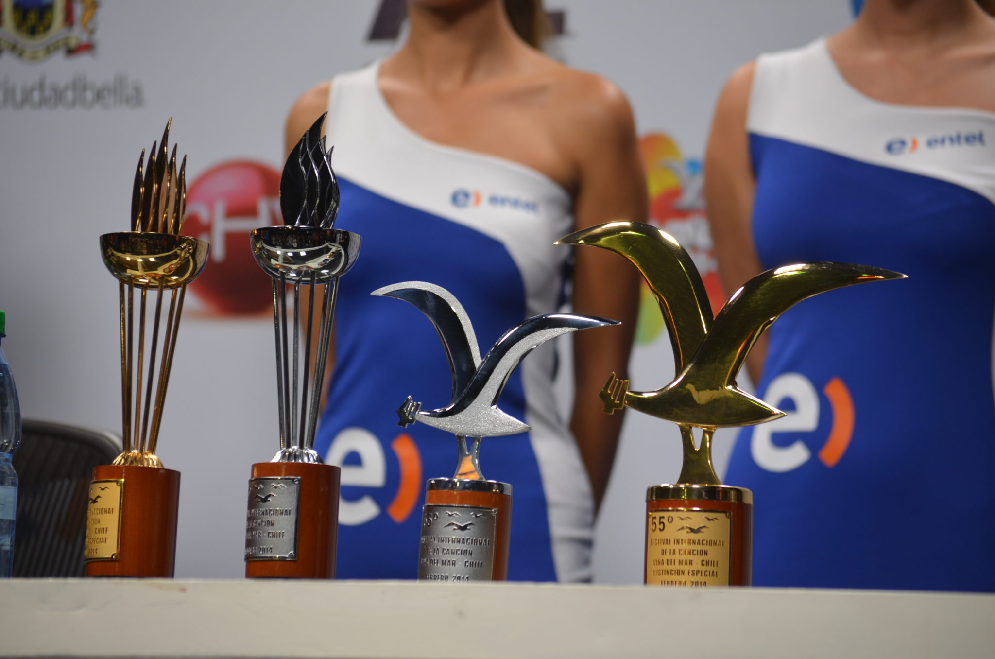 La Quinta Jornada de Viña 2014, fue una noche “redonda”