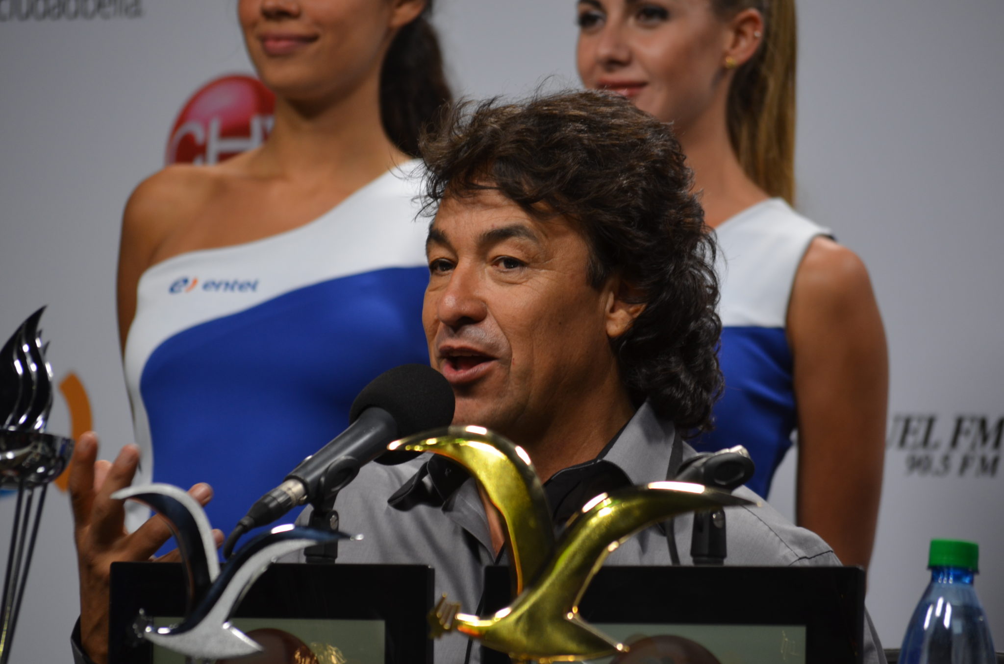 La Quinta Jornada de Viña 2014, fue una noche “redonda”