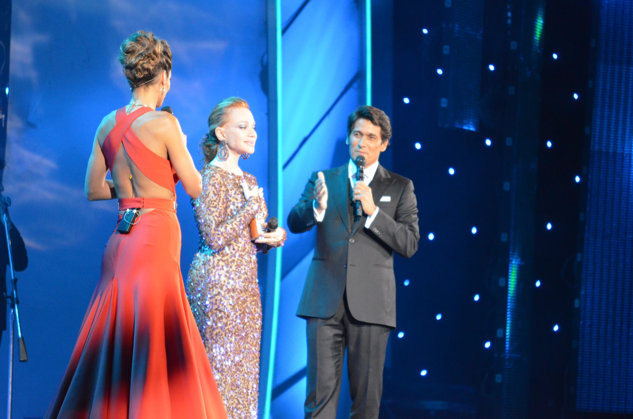 La Quinta Jornada de Viña 2014, fue una noche “redonda”