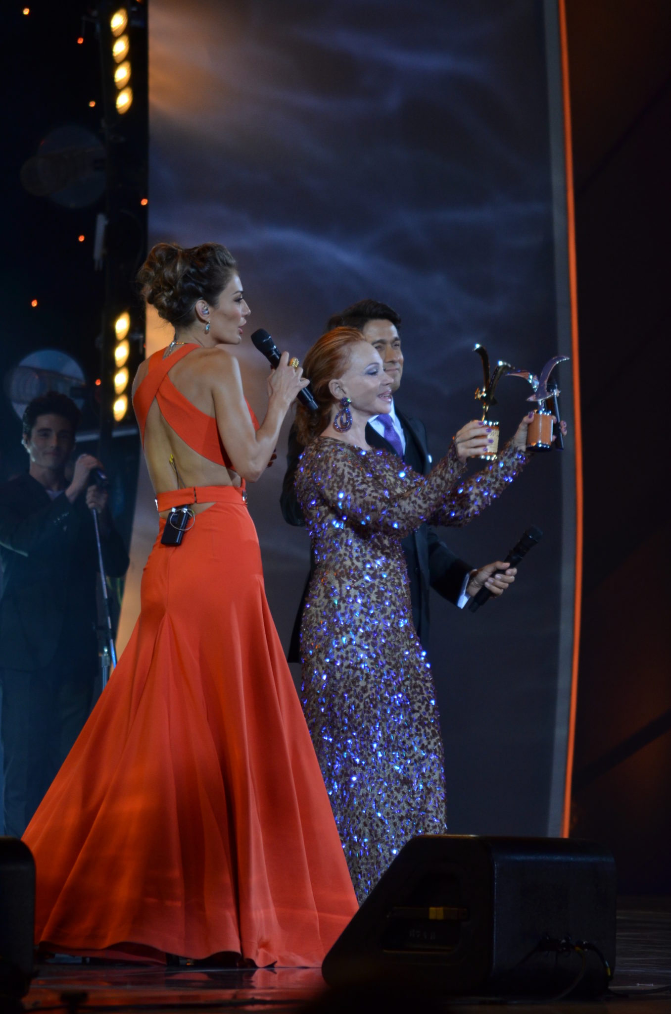 La Quinta Jornada de Viña 2014, fue una noche “redonda”